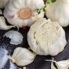 Growing Garlic