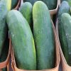 cucumbers