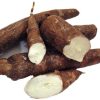 Cassava