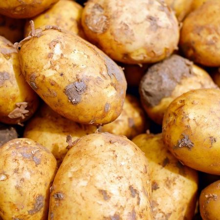Common Potato Growing Problems and Solutions