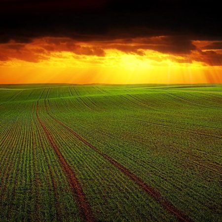 agricultural landscape