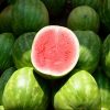 watermelons