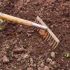 How To Test Soil Without A Kit