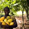 Cooperatives can bolster inclusive growth in Africa