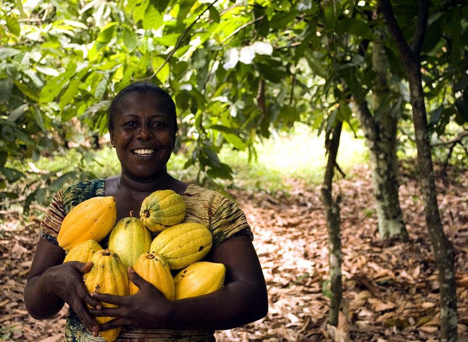 Cooperatives can bolster inclusive growth in Africa