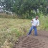 Meet Michael Mwelwa; "I choose farming over depending on a salary"