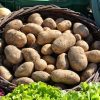 potatoes in bags