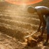 Life as a zambian farmer