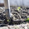 Stay home, stay safe and start a vegetable garden
