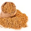 Growing Soya beans soybeans in zambia. Southern africa grain basket
