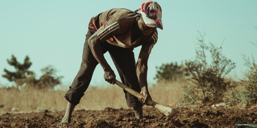 Are zambian farmers too old