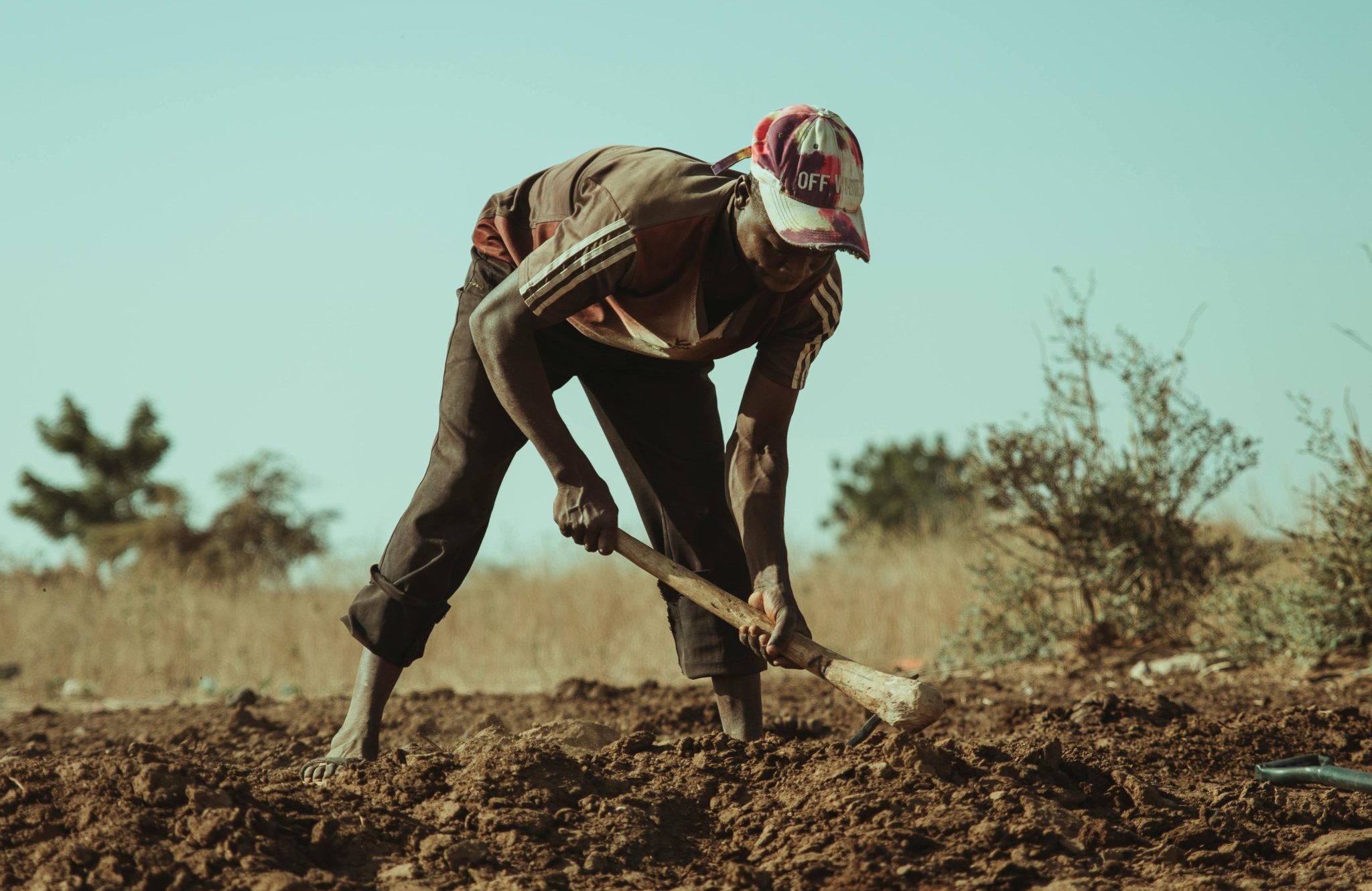 Are zambian farmers too old