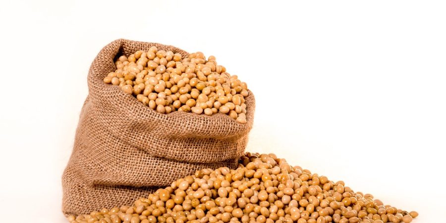 Zambia’s Soya Beans Export Pulse (2021–2022 Data)