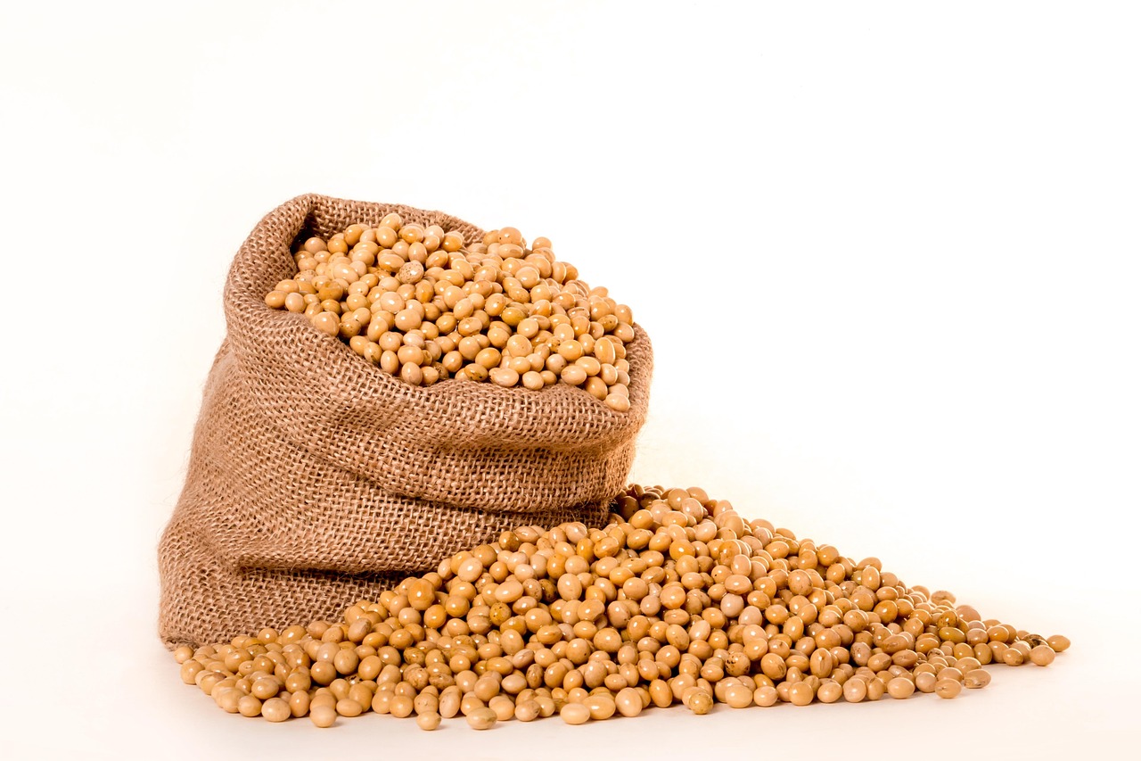 Zambia’s Soya Beans Export Pulse (2021–2022 Data)