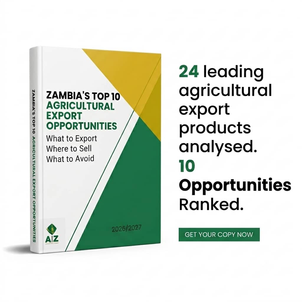 top 10 export opportunities