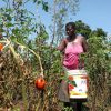 Why monetary policy rarely, directly helps smallholders