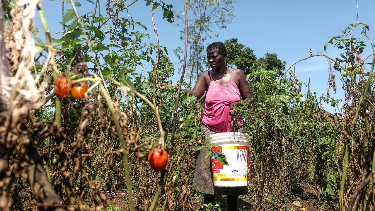 Why monetary policy rarely, directly helps smallholders
