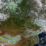 How to Read a Seasonal Rainfall Forecast and Actually Plan Your Planting Dates