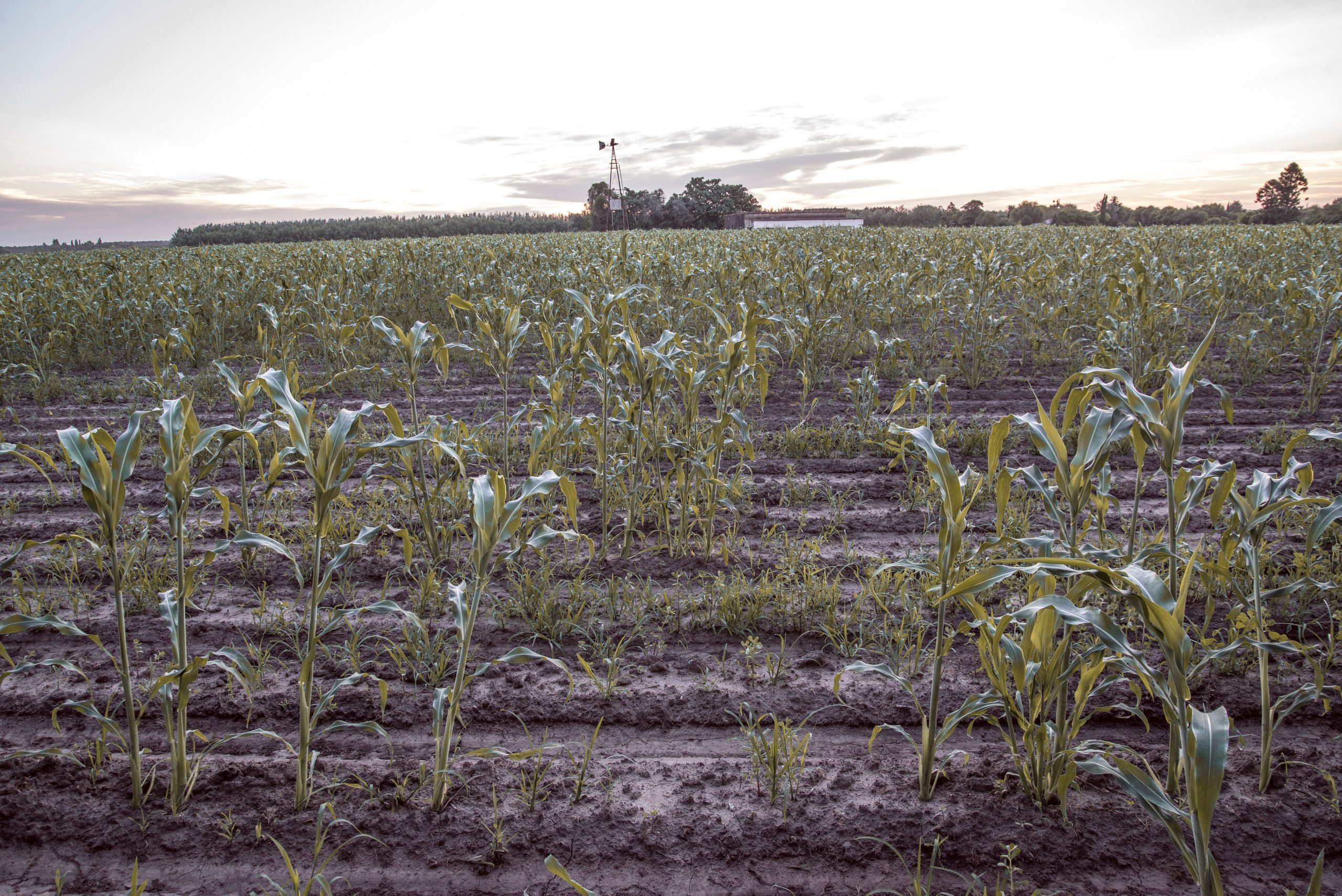 Common Mistakes Beginner Farmers Make and How to Avoid Them